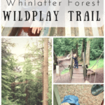 WildPlay at Whinlatter Forest