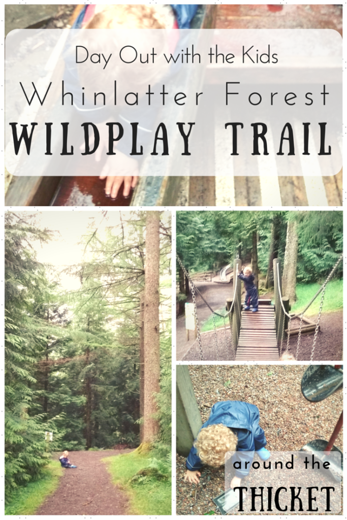 Day Out at Whinlatter WildPlay Trail