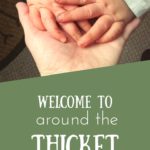 Around the Thicket