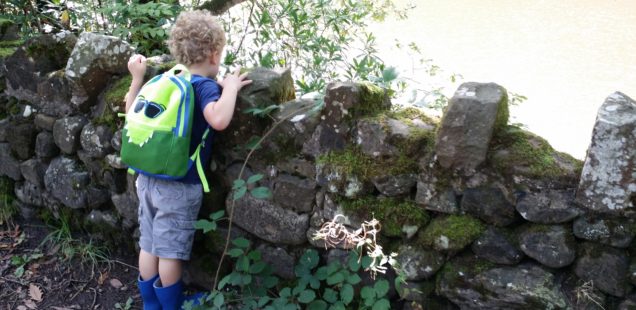 Family Walk up Nicky Nook, Scorton