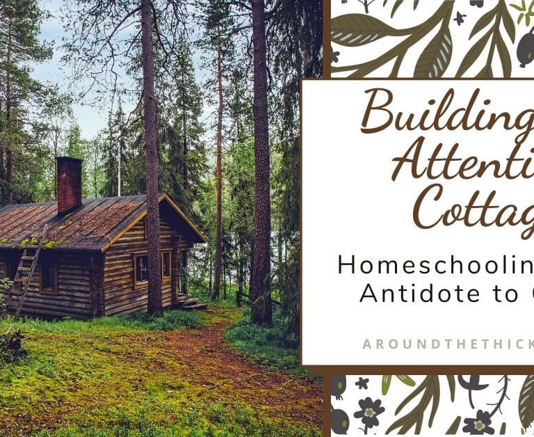 Building an Attention Cottage